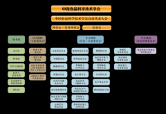 中国食物科学手艺学会年报（2025年）